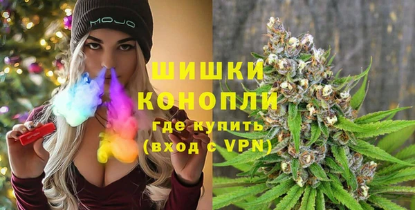 молекула духа Арсеньев