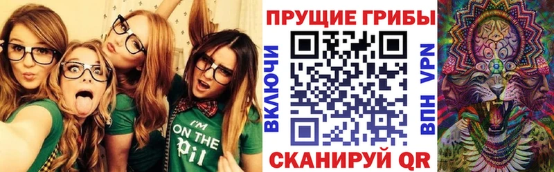 hydra tor  Михайловск  Галлюциногенные грибы мухоморы 